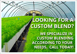 custom-blend