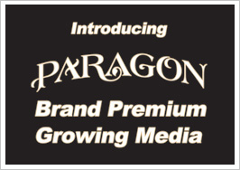 paragon-media